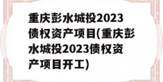 重庆彭水城投2023债权资产项目(重庆彭水城投2023债权资产项目开工)