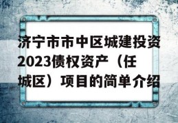 济宁市市中区城建投资2023债权资产（任城区）项目的简单介绍