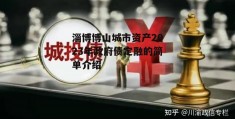 淄博博山城市资产2023年政府债定融的简单介绍