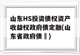 山东HS投资债权资产收益权政府债定融(山东省政府债劵)