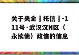 关于央企‮托信‬-111号·武汉汉N区（永续债）政信的信息