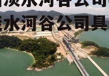 巴西淡水河谷公司(巴西淡水河谷公司具体地址)