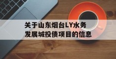 关于山东烟台LY水务发展城投债项目的信息