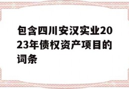 包含四川安汉实业2023年债权资产项目的词条