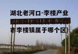 湖北老河口-李楼产业园项目(湖北省老河口市李楼镇属于哪个区)