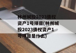 林州城投2023债权资产1号项目(林州城投2023债权资产1号项目是什么)