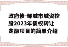 政府债-邹城市城资控股2023年债权转让定融项目的简单介绍