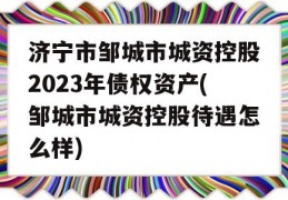 济宁市邹城市城资控股2023年债权资产(邹城市城资控股待遇怎么样)