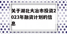 关于湖北大冶市投资2023年融资计划的信息