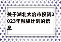 关于湖北大冶市投资2023年融资计划的信息