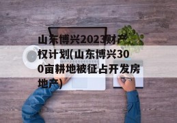 山东博兴2023财产权计划(山东博兴300亩耕地被征占开发房地产)