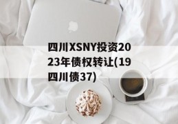 四川XSNY投资2023年债权转让(19四川债37)