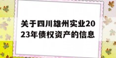 关于四川雄州实业2023年债权资产的信息