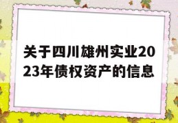 关于四川雄州实业2023年债权资产的信息