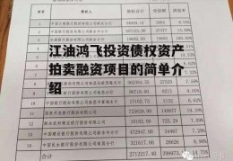 江油鸿飞投资债权资产拍卖融资项目的简单介绍