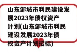 山东邹城市利民建设发展2023年债权资产计划(山东邹城市利民建设发展2023年债权资产计划招标)