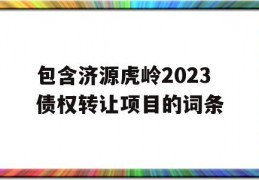 包含济源虎岭2023债权转让项目的词条