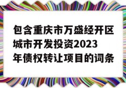 包含重庆市万盛经开区城市开发投资2023年债权转让项目的词条