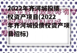 2022年齐河城投债权资产项目(2022年齐河城投债权资产项目招标)