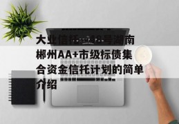 大业信托—48号湖南郴州AA+市级标债集合资金信托计划的简单介绍