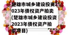 楚雄市城乡建设投资2023年债权资产拍卖(楚雄市城乡建设投资2023年债权资产拍卖项目)