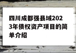 四川成都强县域2023年债权资产项目的简单介绍