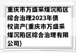 重庆市万盛采煤沉陷区综合治理2023年债权资产(重庆市万盛采煤沉陷区综合治理有限公司)