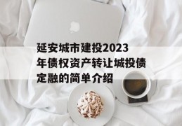 延安城市建投2023年债权资产转让城投债定融的简单介绍