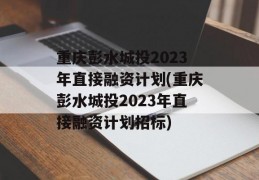 重庆彭水城投2023年直接融资计划(重庆彭水城投2023年直接融资计划招标)