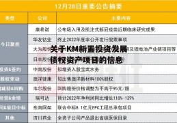 关于KM新置投资发展债权资产项目的信息