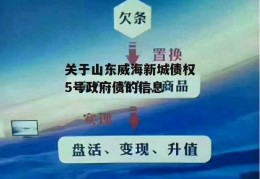 关于山东威海新城债权5号政府债的信息