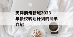 天津蓟州新城2023年债权转让计划的简单介绍