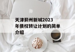 天津蓟州新城2023年债权转让计划的简单介绍