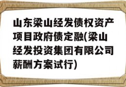 山东梁山经发债权资产项目政府债定融(梁山经发投资集团有限公司薪酬方案试行)