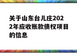 关于山东台儿庄2022年应收账款债权项目的信息