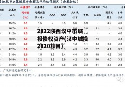 2022陕西汉中市城投债权资产(汉中城投2020项目)