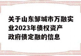 关于山东邹城市万融实业2023年债权资产政府债定融的信息