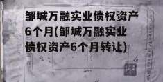 邹城万融实业债权资产6个月(邹城万融实业债权资产6个月转让)