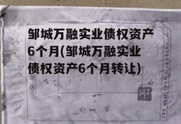 邹城万融实业债权资产6个月(邹城万融实业债权资产6个月转让)