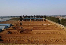 山东寿光市昇景海洋发展政府债定融的简单介绍