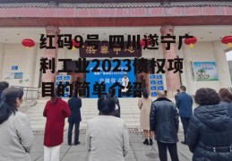 红码9号-四川遂宁广利工业2023债权项目的简单介绍