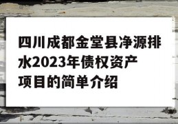 四川成都金堂县净源排水2023年债权资产项目的简单介绍