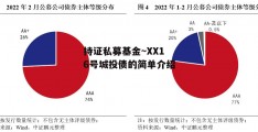 持证私募基金~XX16号城投债的简单介绍