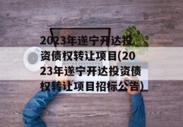 2023年遂宁开达投资债权转让项目(2023年遂宁开达投资债权转让项目招标公告)