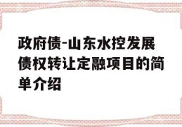 政府债-山东水控发展债权转让定融项目的简单介绍