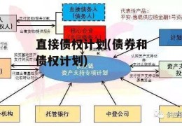 直接债权计划(债券和债权计划)