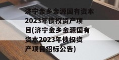 济宁金乡金源国有资本2023年债权资产项目(济宁金乡金源国有资本2023年债权资产项目招标公告)