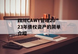 四川CAWY管理2023年债权资产的简单介绍