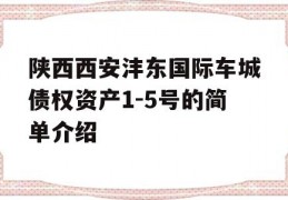 陕西西安沣东国际车城债权资产1-5号的简单介绍