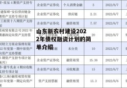 山东新农村建设2022年债权融资计划的简单介绍